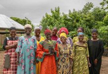 El árbol que también cuida de ti