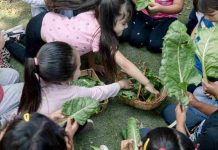 “Huerto Mágico” en La Pintana: Educación inicial que cultiva el aprendizaje en niños y niñas  “Huerto Mágico” en La Pintana: Educación inicial que cultiva el aprendizaje en niños y niñas