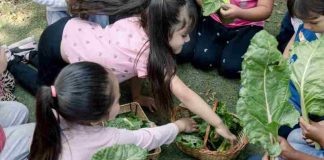 “Huerto Mágico” en La Pintana: Educación inicial que cultiva el aprendizaje en niños y niñas 