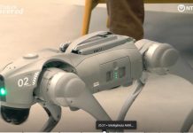 IA + Robótica: la combinación clave para potenciar el talento humano