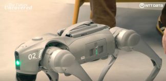 IA + Robótica: la combinación clave para potenciar el talento humano IA + Robótica: la combinación clave para potenciar el talento humano