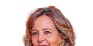 NDC 2025-2035: El nuevo ciclo climático de Chile exige liderazgo empresarial