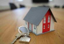 Nuevo subsidio al dividendo: una puerta de entrada al mercado inmobiliario para jóvenes profesionales e inversionistas Nuevo subsidio al dividendo: una puerta de entrada al mercado inmobiliario para jóvenes profesionales e inversionistas