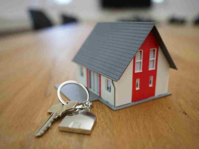 Nuevo subsidio al dividendo una puerta de entrada al mercado inmobiliario para jóvenes profesionales e inversionistas Nuevo subsidio al dividendo: una puerta de entrada al mercado inmobiliario para jóvenes profesionales e inversionistas