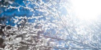 Ola de Frío Ola de Frío