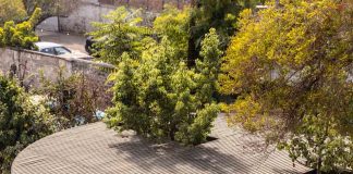 Patios atractivos que mejoran asistencia y aprendizaje escolar Patios atractivos que mejoran asistencia y aprendizaje escolar