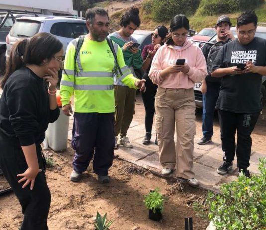 UNAP promueve la Xerojardinería en estudiantes y personal de Siglo Verde UNAP promueve la Xerojardinería en estudiantes y personal de Siglo Verde
