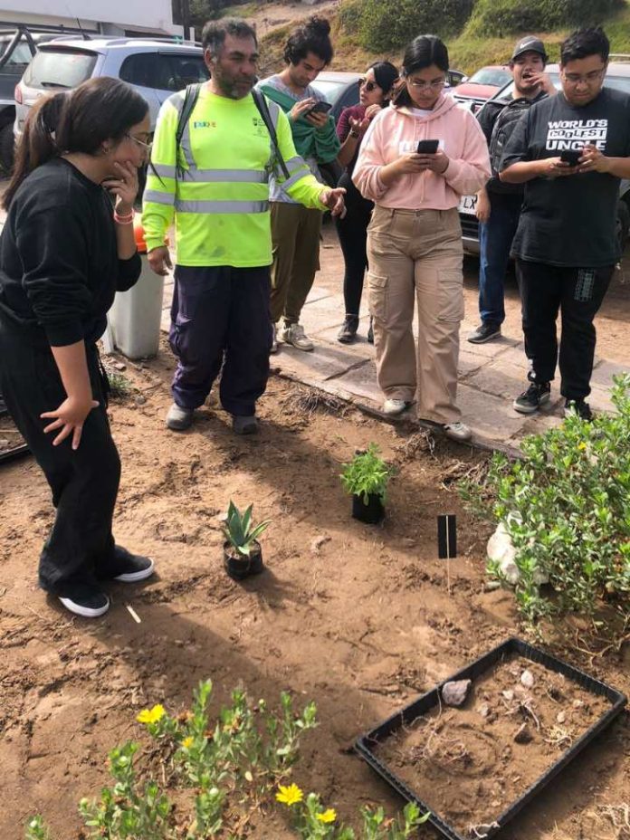 UNAP promueve la Xerojardinería en estudiantes y personal de Siglo Verde UNAP promueve la Xerojardinería en estudiantes y personal de Siglo Verde