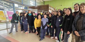 Un 92% de asistencia escolar registra La Araucanía en lo que va del 2025