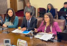 Inició tramitación de proyecto de ley que promueve más actividad física en colegios Inició tramitación de proyecto de ley que promueve más actividad física en colegios