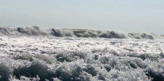 ¿Qué diferencia hay entre la altura y la amplitud de una ola de tsunami?