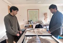 Arena Confluente: Alumni UCT triunfa en certamen nacional con innovador proyecto arquitectónico