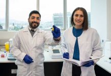 Así despegarán los aviones del futuro en Chile: con biocombustible que nace de la tierra Así despegarán los aviones del futuro en Chile: con biocombustible que nace de la tierra