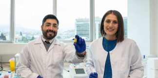 Así despegarán los aviones del futuro en Chile: con biocombustible que nace de la tierra