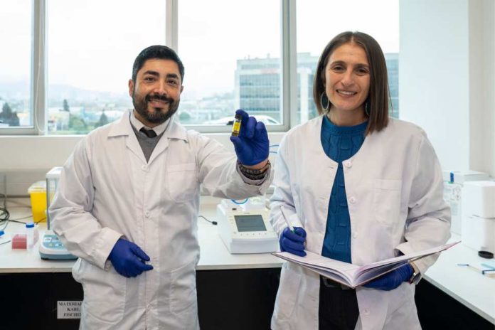 Así despegarán los aviones del futuro en Chile: con biocombustible que nace de la tierra