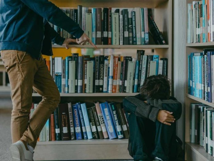 Bow.care: la plataforma que mediante ciencia y tecnología busca contribuir a la salud emocional de los escolares.