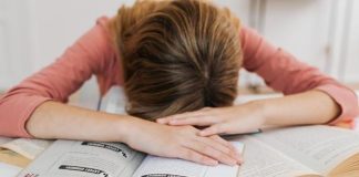 Estrategias de estudio: la herramienta que prepara a los jóvenes para un ingreso exitoso a la universidad