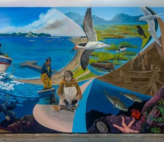Cruces de arte y ciencia fortalecen la justicia azul en las costas de Chile