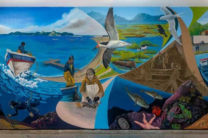 Cruces de arte y ciencia fortalecen la justicia azul en las costas de Chile