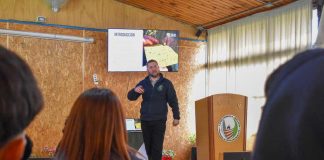 Estudiantes del Liceo Agrícola de Quillota se capacitan en Monitoreo de Insectos Estudiantes del Liceo Agrícola de Quillota se capacitan en Monitoreo de Insectos
