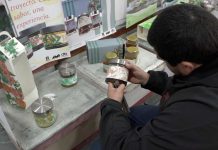Estudiantes renovaron la imagen de productos apícolas de la Región del Maule Estudiantes renovaron la imagen de productos apícolas de la Región del Maule