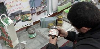 Estudiantes renovaron la imagen de productos apícolas de la Región del Maule