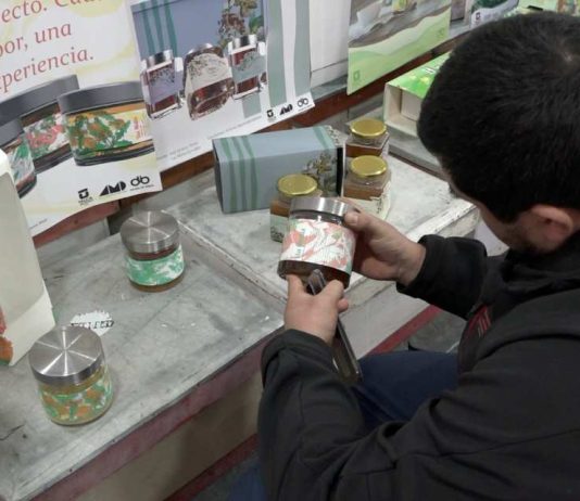 Estudiantes renovaron la imagen de productos apícolas de la Región del Maule