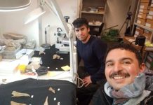 Estudio reveló la diversidad de peces óseos en el pasado de Chile