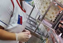 Junaeb y FAO lanzan inédito diplomado para colaboradores del Programa de Alimentación Escolar