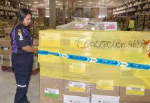 Logística: una carrera técnica que crece para movilizar el mundo