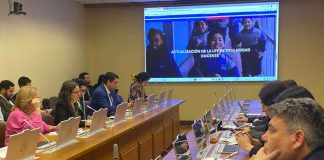 Proyecto de Ley de Titularidad Docente comienza su tramitación en la comisión de Educación de la Cámara de Diputadas y Diputados