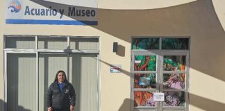 UCN gana fondo del Gobierno Regional para difundir la cultura de Los Changos