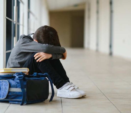 Construyendo convivencia sin violencia