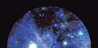 Exposición de fotografía científica UNAB explora “El arte de lo invisible” (1)