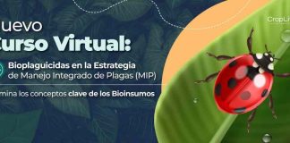 Nuevo curso virtual: Bioplaguicidas en la estrategia de Manejo Integrado de Plagas
