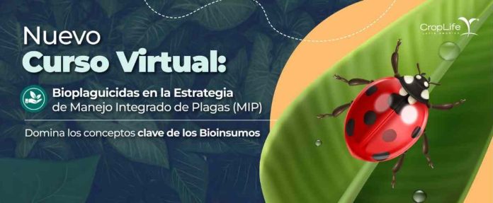 Nuevo curso virtual Bioplaguicidas en la estrategia de Manejo Integrado de Plagas Nuevo curso virtual: Bioplaguicidas en la estrategia de Manejo Integrado de Plagas