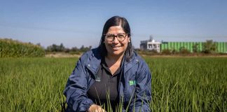 FIA invita a postular al Premio Nacional Mujer Agroinnovadora 2025