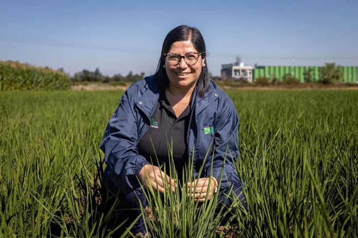 FIA invita a postular al Premio Nacional Mujer Agroinnovadora 2025 FIA invita a postular al Premio Nacional Mujer Agroinnovadora 2025