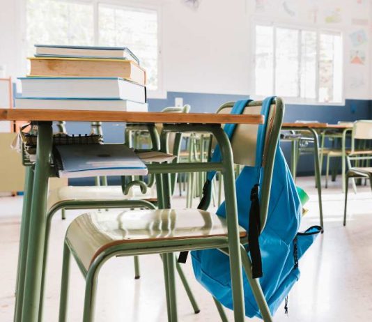 Radiografía de directores escolares en Chile: más mujeres, mayor formación y alta rotación Radiografía de directores escolares en Chile: más mujeres, mayor formación y alta rotación