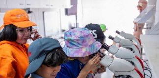 Se abre convocatoria para sumar actividades al Festival de las Ciencias 2025