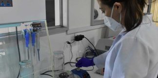 Universidad Santo Tomás se adjudica proyecto InES Ciencia Abierta 2025 de ANID