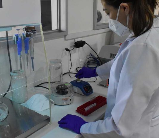 Universidad Santo Tomás se adjudica proyecto InES Ciencia Abierta 2025 de ANID Universidad Santo Tomás se adjudica proyecto InES Ciencia Abierta 2025 de ANID