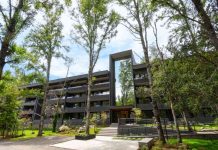 ¿Arrendaste para tus vacaciones de Fiestas Patrias? En 2026 celebra los feriados largos en tu propio departamento en el sur