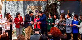 Asistencia en Educación Parvularia en alza