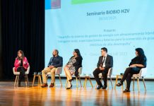 Biobío impulsa su liderazgo en hidrógeno verde con mirada industrial y marítima Biobío impulsa su liderazgo en hidrógeno verde con mirada industrial y marítima