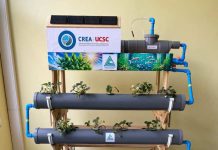 CREA UCSC implementó innovador Sistema de Acuaponía Educativa en colegio de Talcahuano