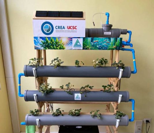 CREA UCSC implementó innovador Sistema de Acuaponía Educativa en colegio de Talcahuano