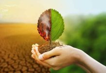 Cambio climático: verdad o falacia