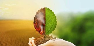 Cambio climático: verdad o falacia