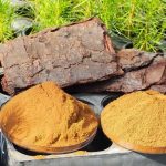 Con gran éxito y más de 40 postulaciones cerró la convocatoria a universidades y startups para innovar en aplicaciones de lignina kraft  Con gran éxito y más de 40 postulaciones cerró la convocatoria a universidades y startups para innovar en aplicaciones de lignina kraft